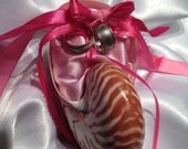 Beach Wedding Tiger Nautilus Shell Ring Bearer Pillow w/ pink hues