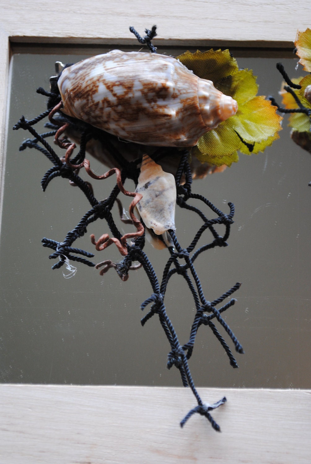 Grey and brown lettered olive shell with black net