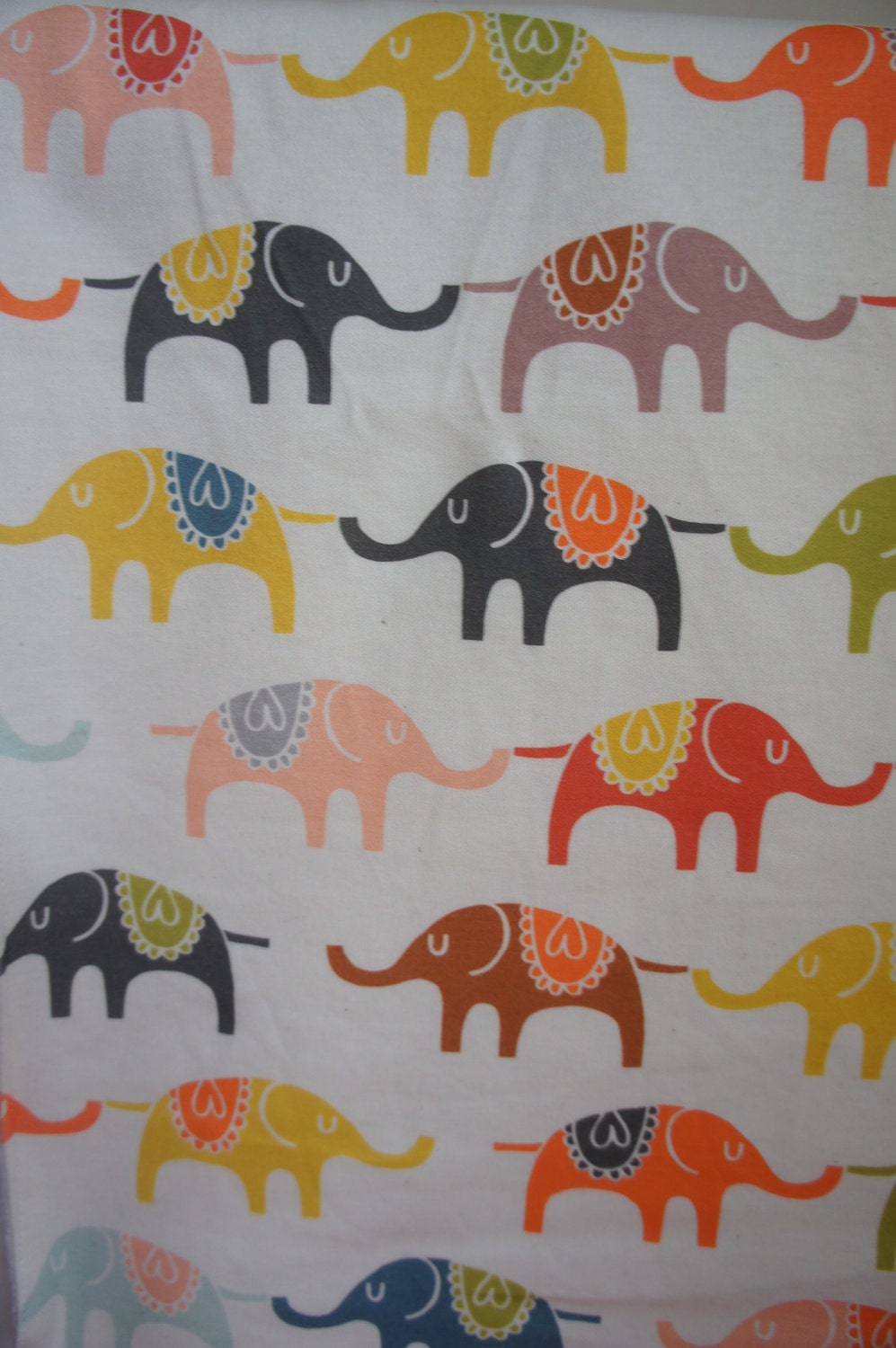 Rainbow Organic Baby Blanket: Circus Troupe on Elephant Parade printed on Cotton Jersey with cream Poly Fleece blanket.