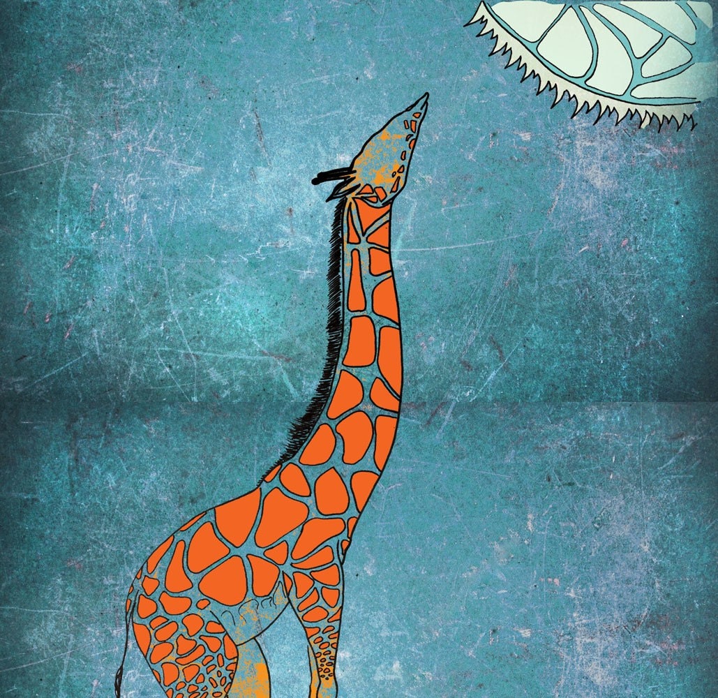 Giraffe art print illustration poster 12x16