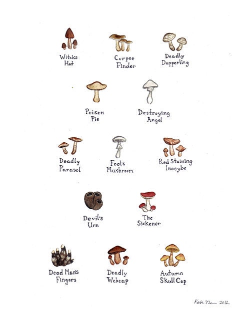 Morbid Mushrooms Watercolor Art Print