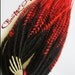 Black and Red Transitional Cyber Goth Double Ended Dreads