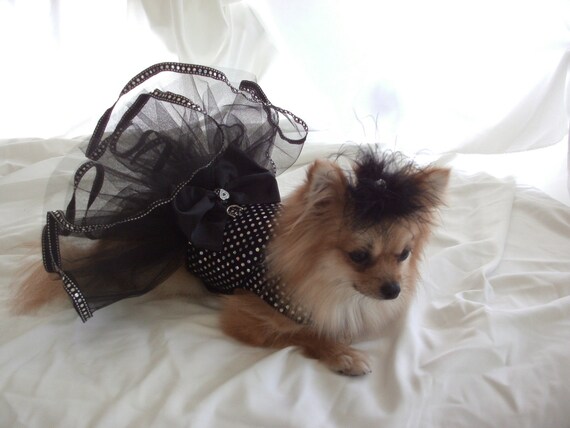 Gorgeous, elegant, black harness tutu dress, Size S/M,  Pink Punk Puppy Designs