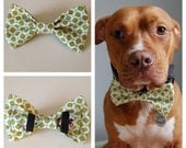 Green and White Squares Boys Will Be Boys Bow Tie Collar Accessory for Pets