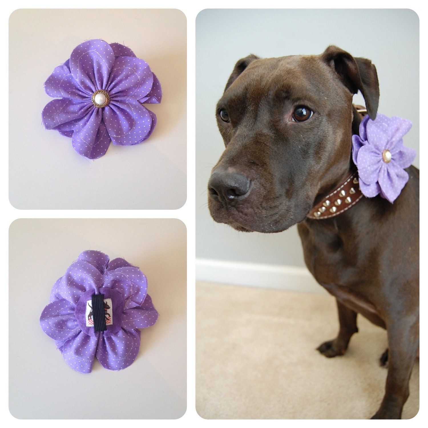 Purple Polka Dots Flower Accessory for Pet Collars