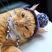 Pom Pom Cat Hat - Purple and White