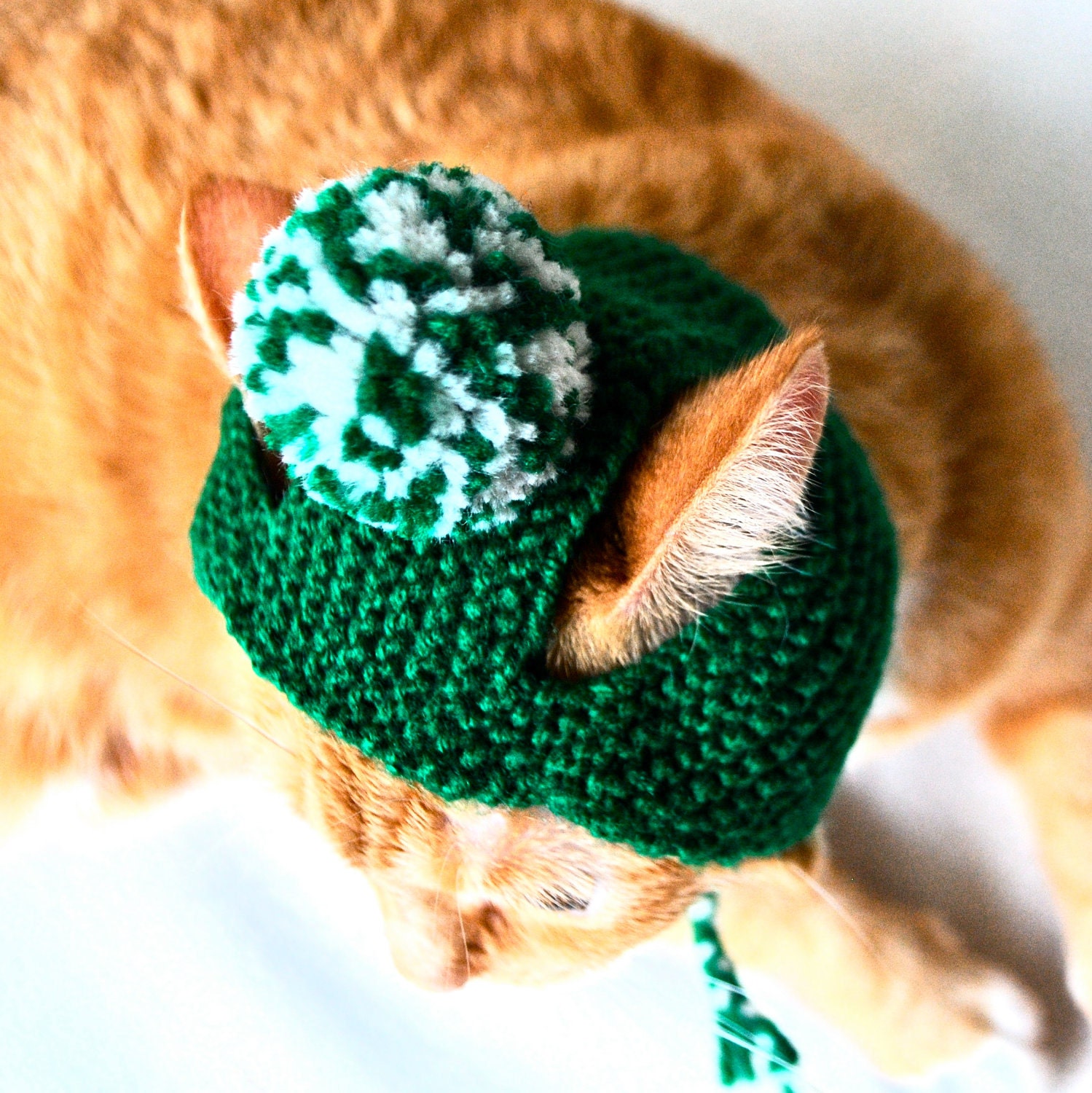 Pom Pom Cat Hat - Green and White