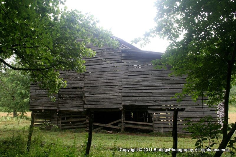 Old Barn In Stecoah, North Carolina