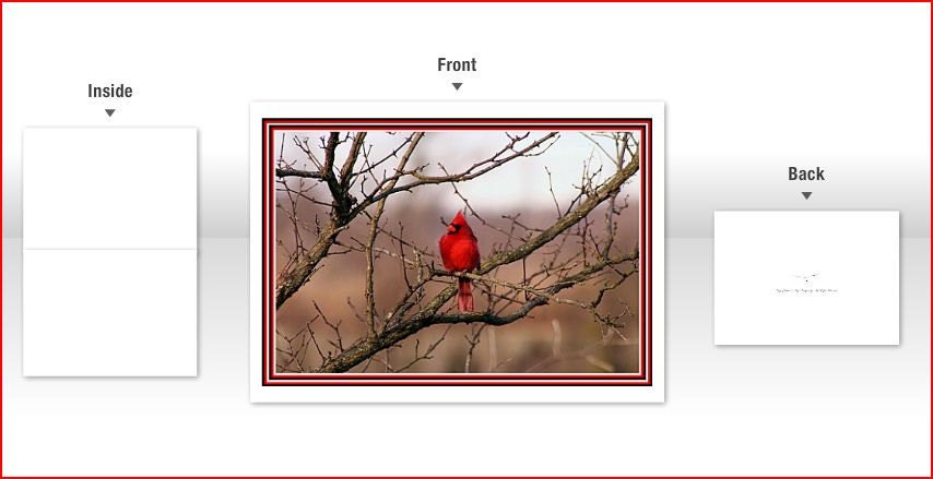 4x5.5" Any Occasion Card (blank inside) - The Cardinal Two - Dutch Gap, Virgina