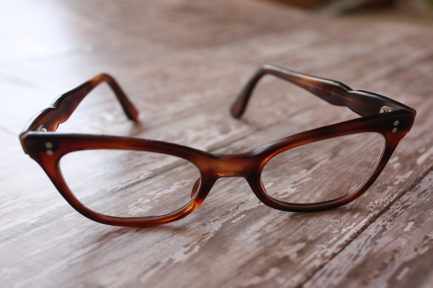 chocolate tortoiseshell