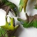 Green dinosaurs, raptors, tyrannosaurus,stegosaurus, 1980s lot of four