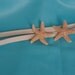Starfish Headband with TWO Starfish Hippie Headwrap Mermaid Hair