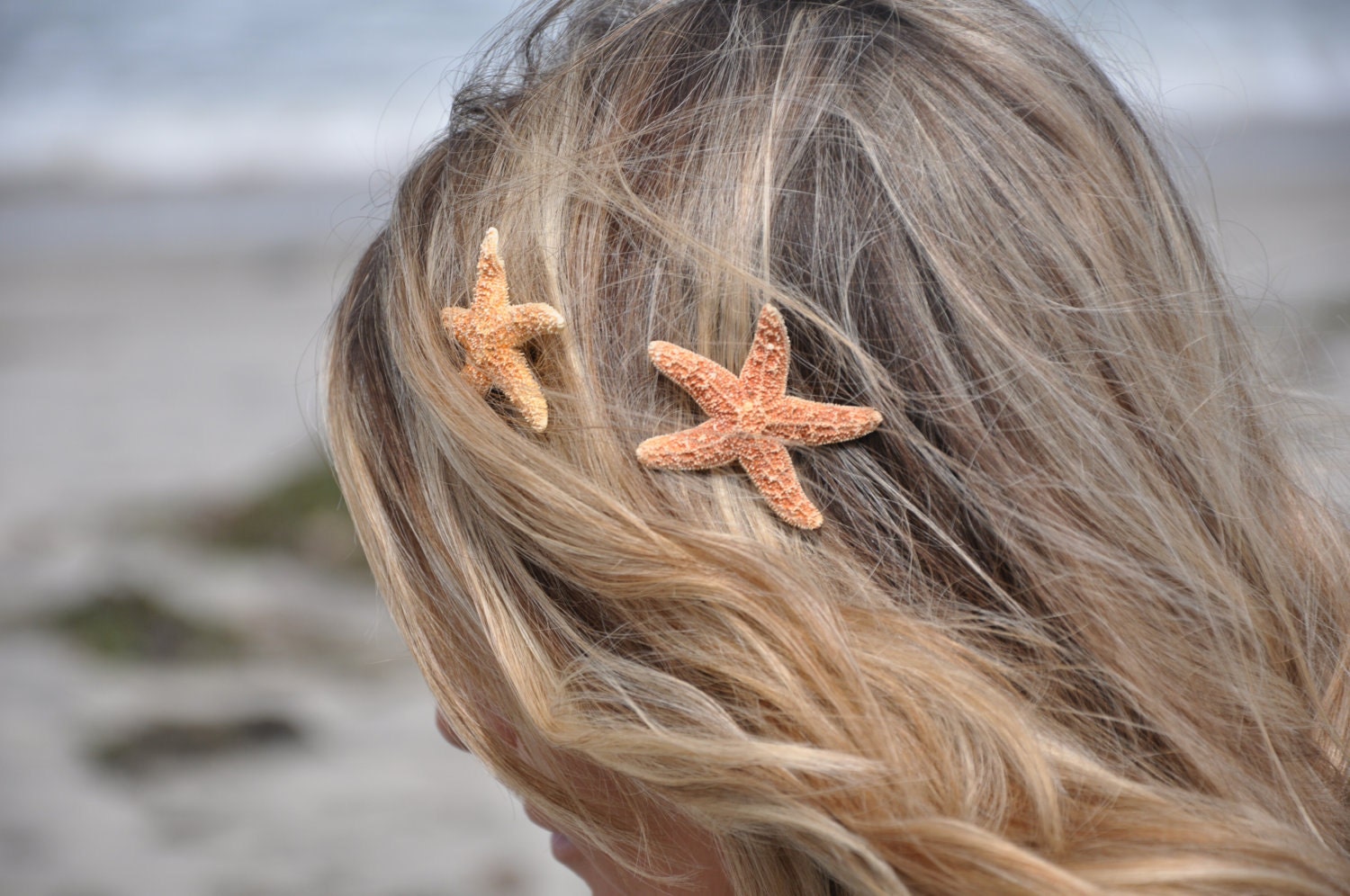 Starfish Hair Clips Small, TWO Included SOOO Pretty