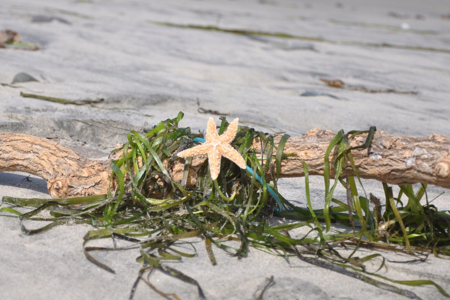 Sugar Starfish on aqua teal turquoise headband Mermaid Hair
