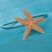 Sugar Starfish on aqua teal turquoise headband Mermaid Hair