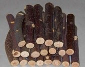 20 Apple Chew Branches For Rabbits, Guinea Pigs, Chinchillas, Gerbils, Hamsters,,,,,,