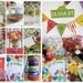 Sesame Street Party Pack, Customized