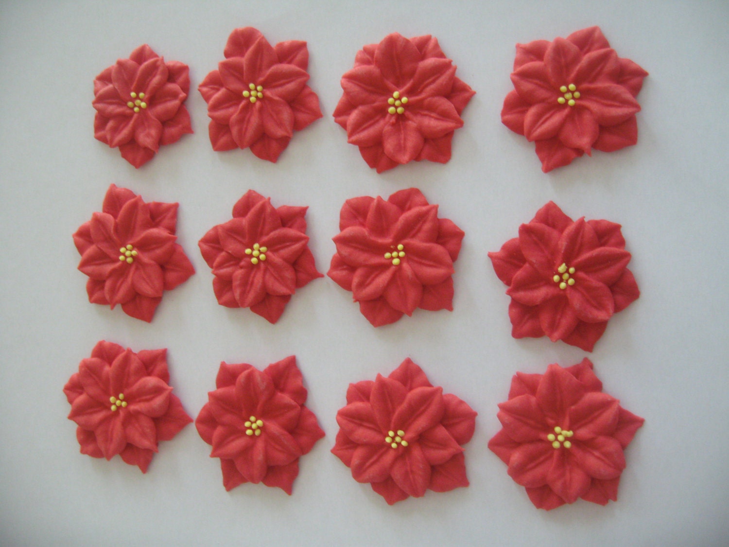 Poinsettias