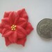 Poinsettias