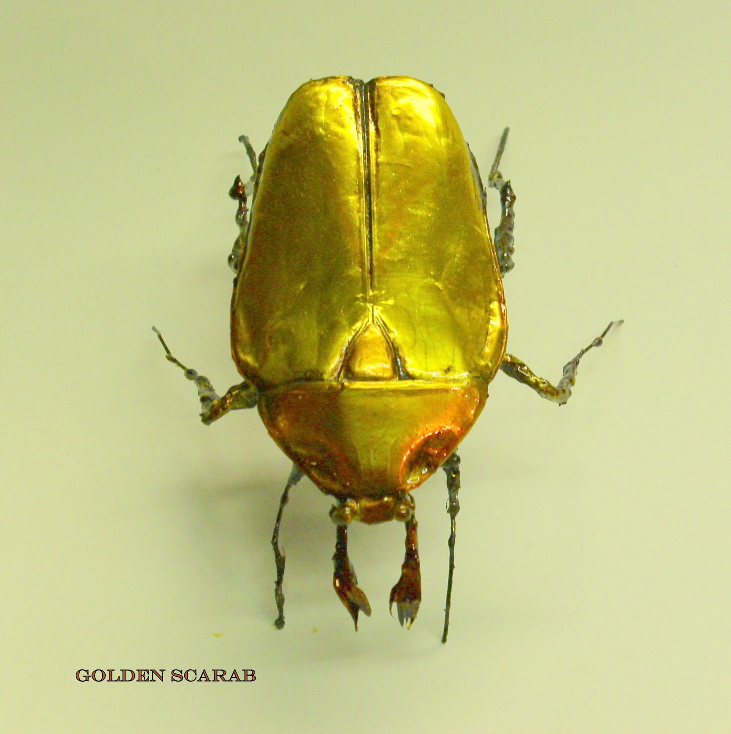 the golden scarab