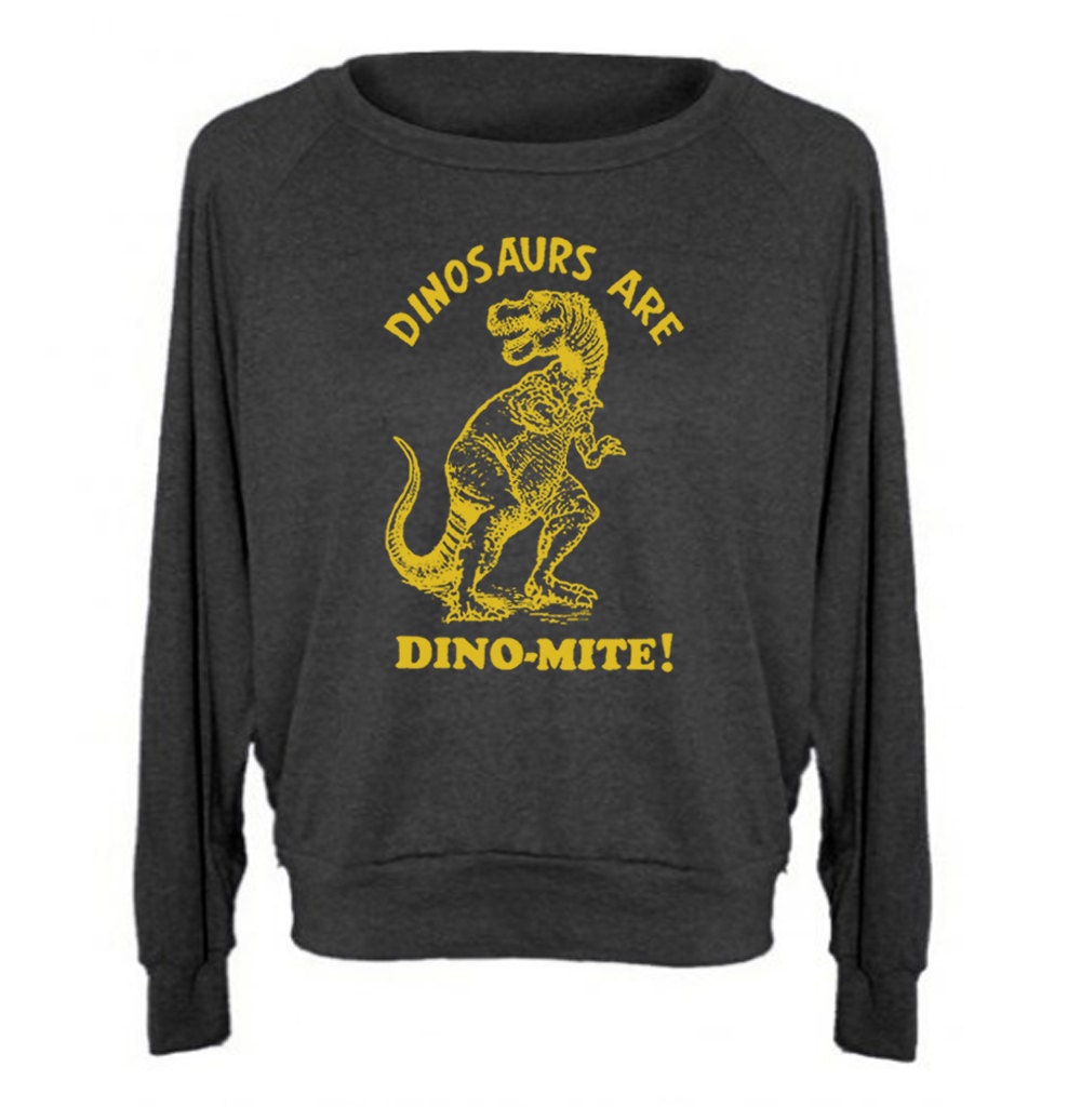 Womens Sweatshirt Dinosaurs Are Dinomite Tri-Blend Raglan Pullover - American Apparel - S M and L (8 Color Options)
