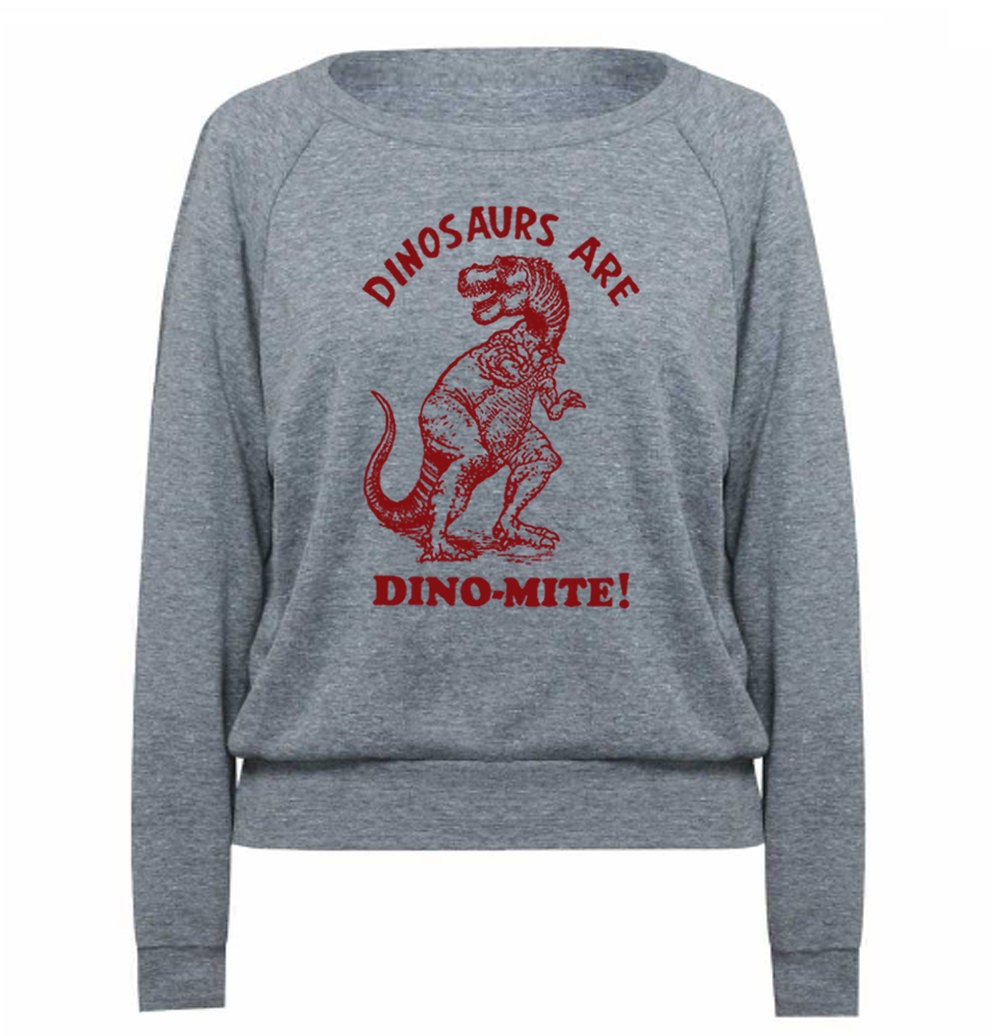 Womens Sweatshirt Dinosaurs Are Dinomite Tri-Blend Raglan Pullover - American Apparel - S M and L (8 Color Options)