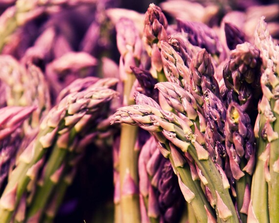 Pink & Green Asparagus Photo - Macro Vegetable Food Photograph - Fine