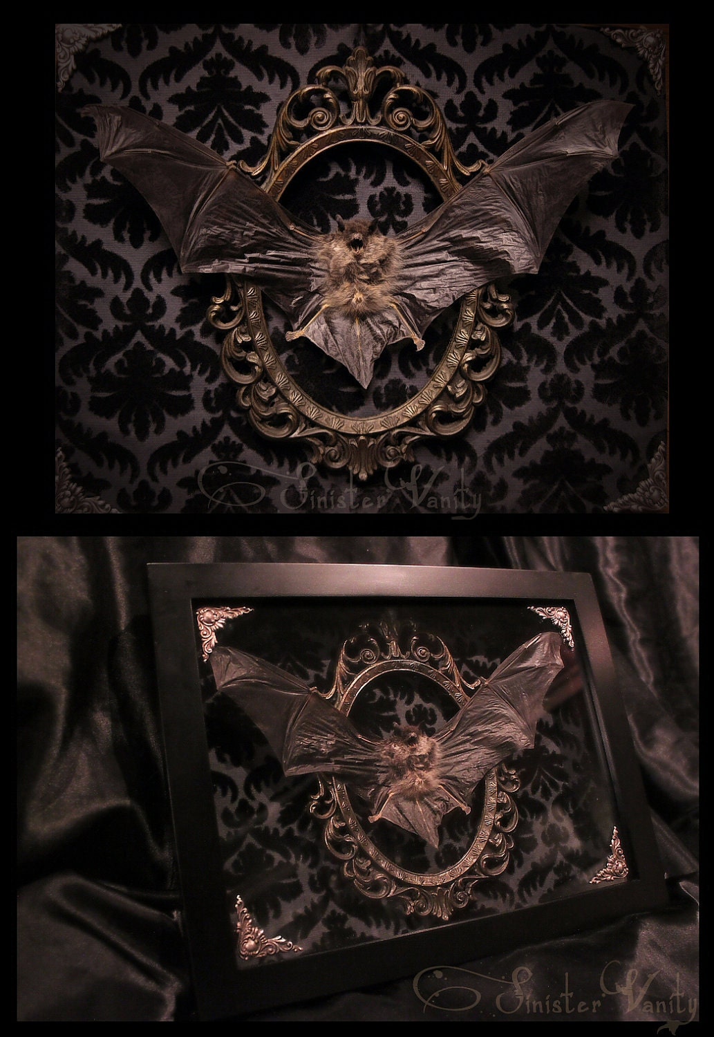 Gothic Taxidermy Bat Goth Curio Black Antique Damask Brass Filigree Neo-Victorian Shadow box frame macabre wall Plaque art