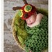 Hungry Caterpillar Set Newborn Halloween Costume Photography Prop - Treasured Little Creations