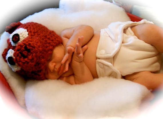Newborn Hog WIld Beanie