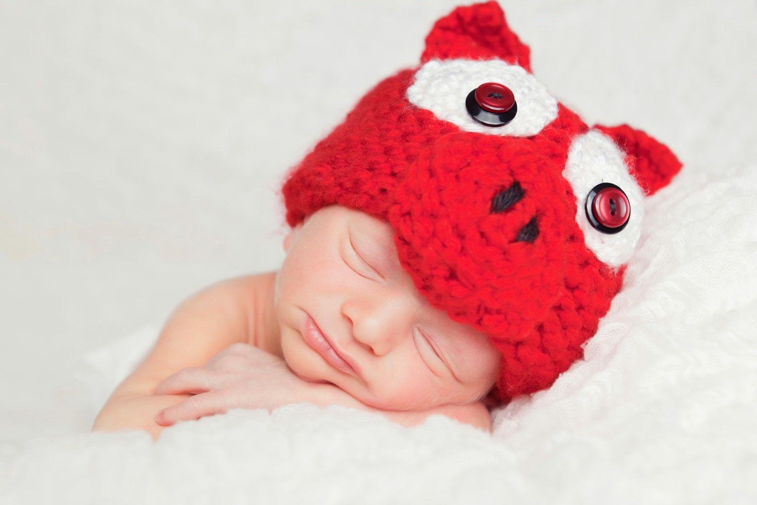Newborn Hog WIld Beanie