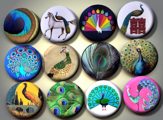PEACOCKS Colorful birds 12 Pinback 1" hand pressed Buttons Badges Pins