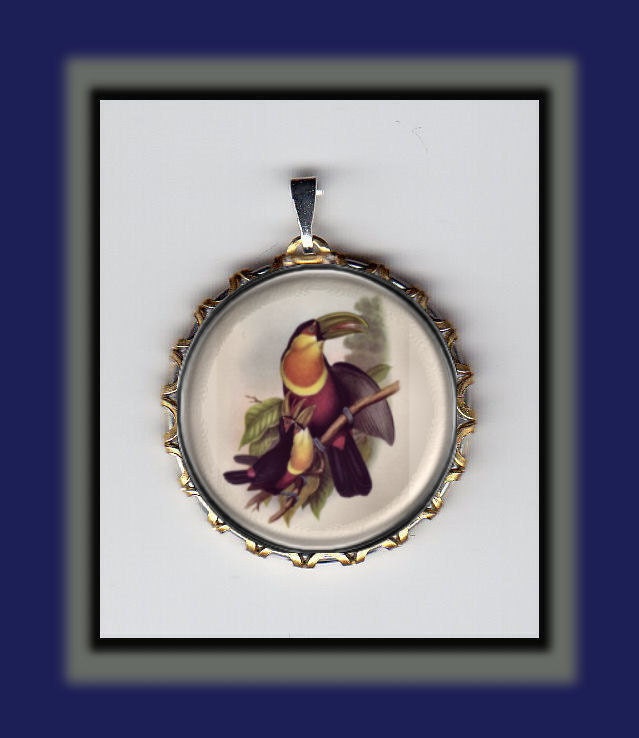 Toucan with Chicks Beautiful Bird Art Brass Charm