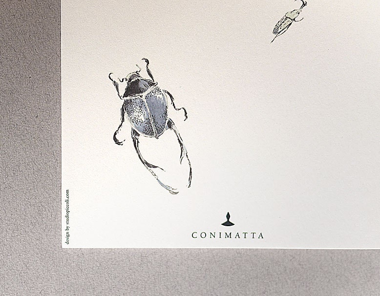 Bug me & Dot line. 2 Notebooks in recycled paper.