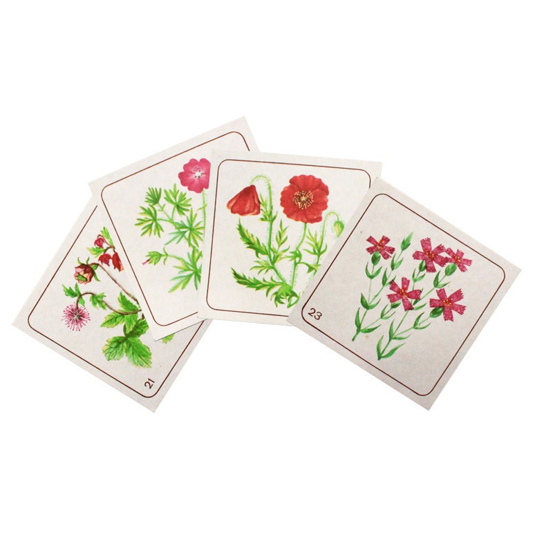 Red flower home decor art prints Russian floral design