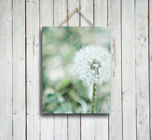 Dandelion - flower photography - green and white decor - green and white art - dandelion art - dandelion photo - home and office decor