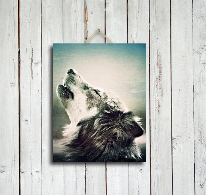 Howling wolf - 11x14 in. print - wolf photo - wolf howling photo - wolf decor - wolf art - wolf dog - native american style - native america