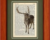 Dictionary Art Print - Fallow Deer - 6 3/4" x 9 3/4" - Art Print on Upcycled Dictionary Page