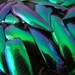 Custom Listing for Tif - 480 Elytra Beetle Wings for crafting