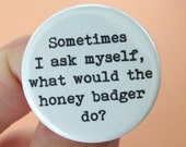 honey badger button 15 sometimes I ask myself what would the honey badger do pinback buttons 1.25 inch awesomeness
