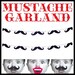 Mustache Garland Banner . 6 Feet . Perfect Accessory to Photo Booth Props Party . Gender Reveal . Bakers Twine