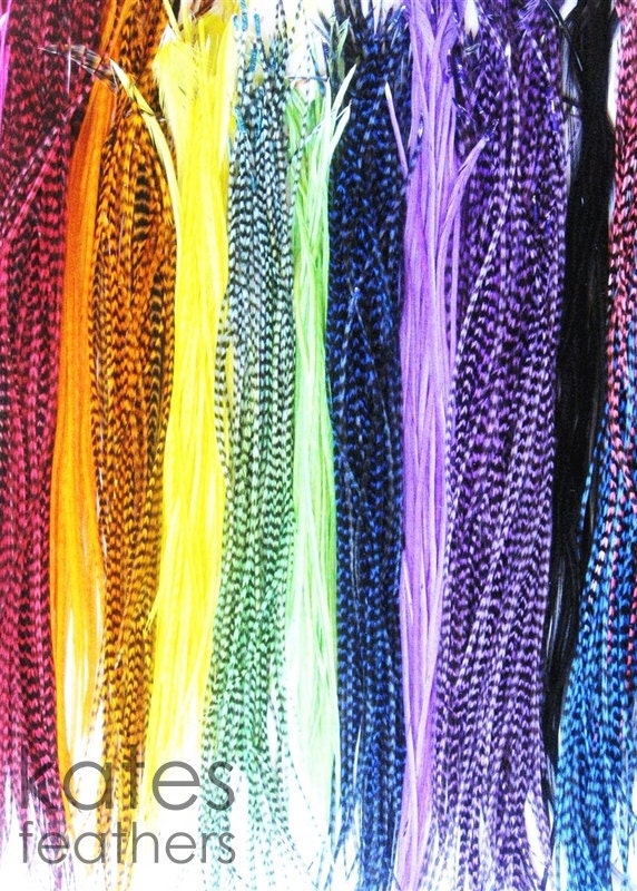 BULK WHOLESALE Feather Hair Extensions 50 Long by