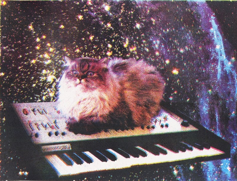 Cat Keyboard Space