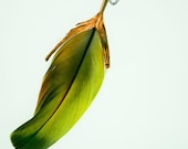 Yellow Colorful Feather Pendant