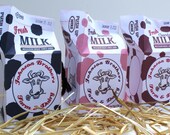 Milk Carton Favor Treat Box