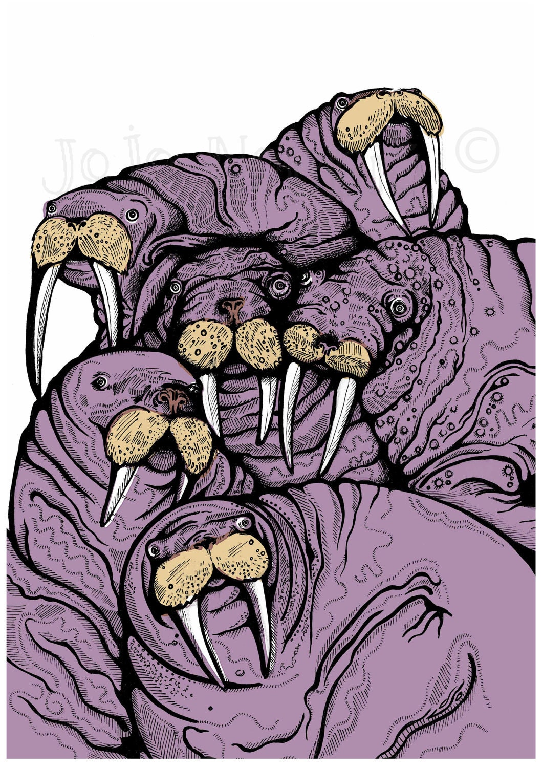 An Ugly of Walruses
