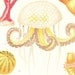 RESERVED 1920 Sea Life Antique Print , Jellyfish, Anemones, Coral, Echinoderms, Sea Urchin