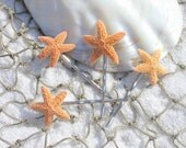 Set of 4 Sugar Starfish Bobby Pins