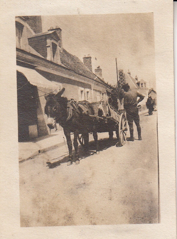 Vintage/Antique photo of a donkey pulling a wooden cart