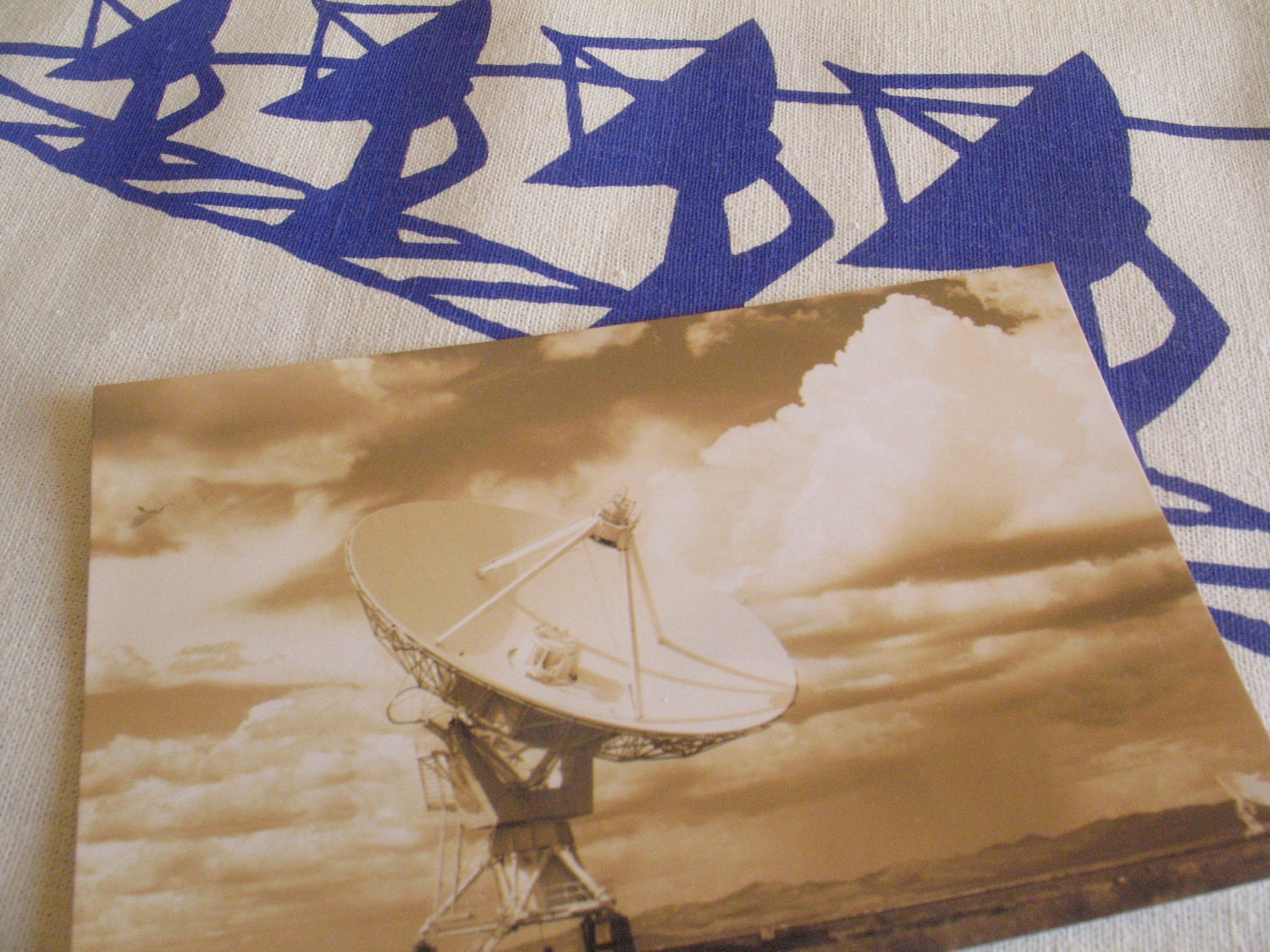 Tea Towel - VLA: Purple, Orange or Indigo